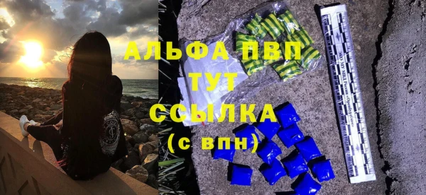 дживик Анжеро-Судженск