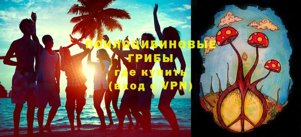 первитин Анива