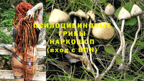 ешки Мегион