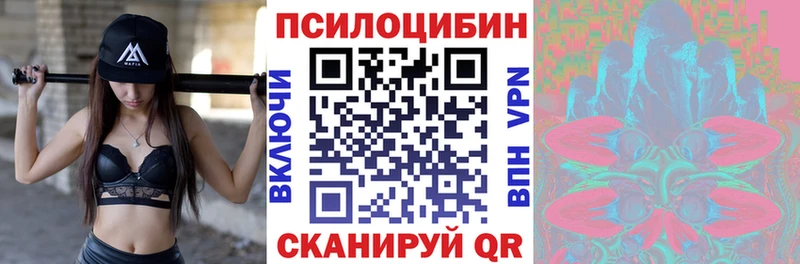 Галлюциногенные грибы Psilocybine cubensis  Невельск 
